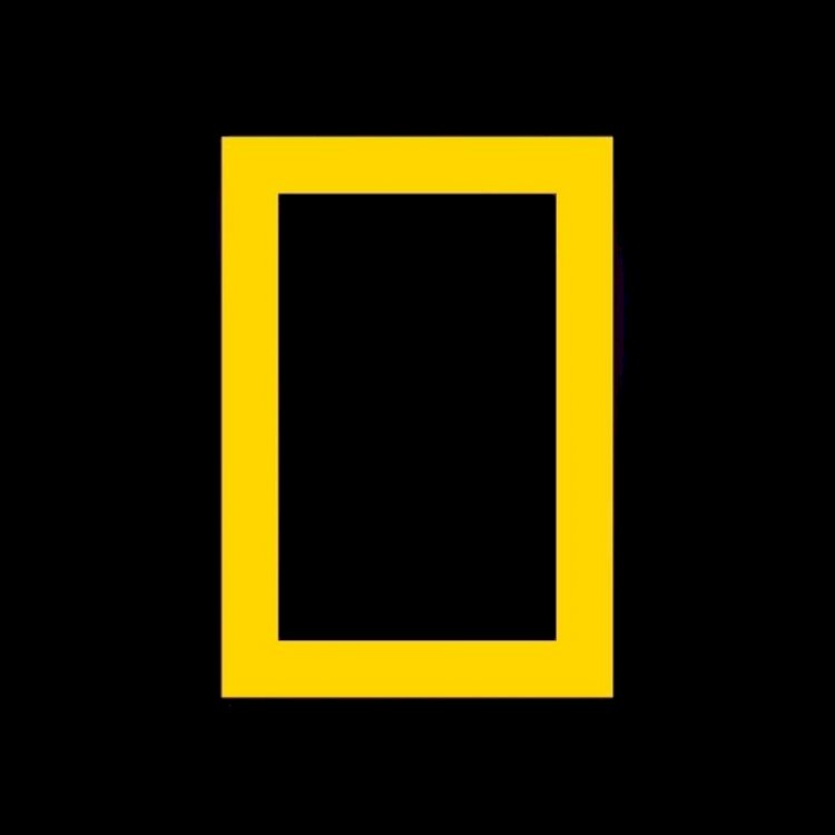 ​National Geographic “25 Litre” ile New York Festivals’tan Ödülle Döndü