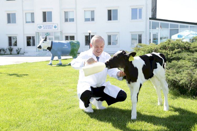 Sütaş Yönetim Kurulu Başkanı Muharrem Yılmaz'dan Dünya Süt Günü mesajı