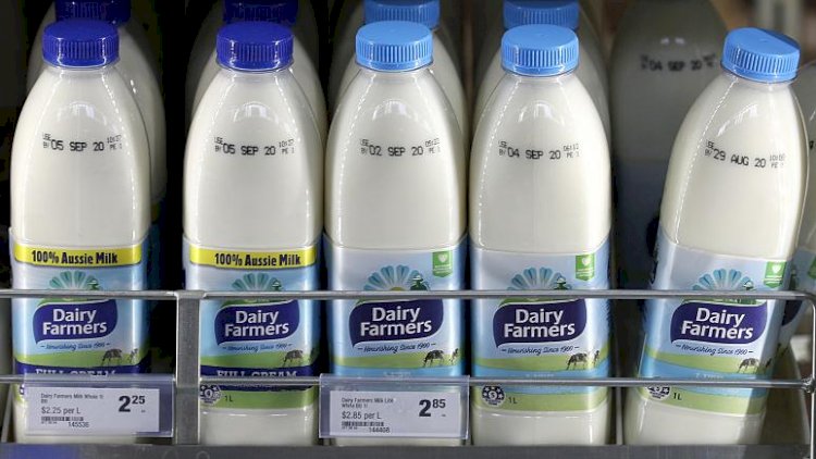 Avustralya hükümeti, süt ürünleri şirketinin Çinli firmaya satılmasına izin vermedi