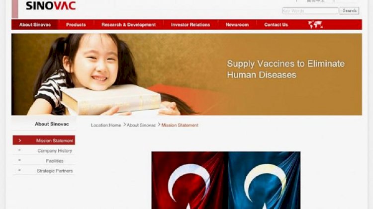 Türk hackerlar Çinli aşı üretici Sinovac sitesine sızdı: Doğu Türkistan bayrağı yerleştirildi