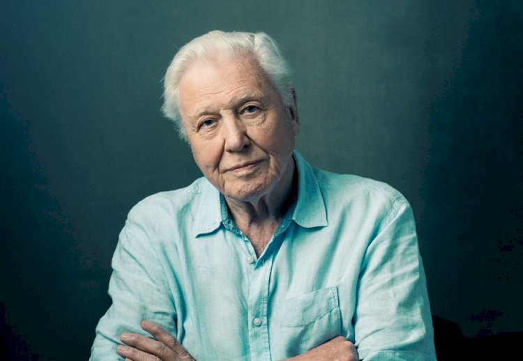Sir David Attenborough Yeni Yıl Mesajıyla “Olağanüstü Zamanlarda” Dünyaya Umut Veriyor