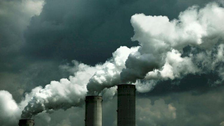 Türkiye’de Potansiyel Karbon Vergisine Verilen Desteğin Belirleyicileri