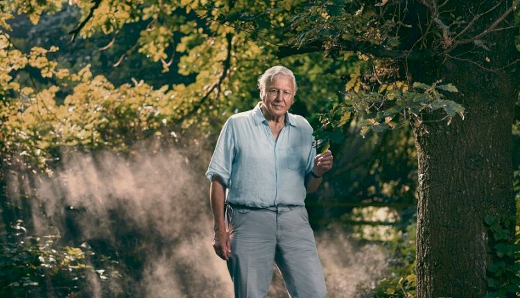 Sir David Attenborough’tan Bir Yok Oluş Hikayesi