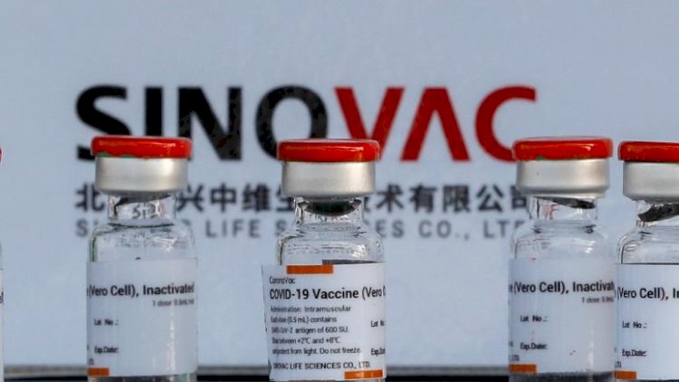 Prof. Dr. Kayıhan Pala: Sinovac aşısının koruması yüksek değil