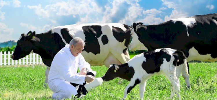 1 Haziran Dünya Süt Günü’nü Kutlu Olsun “Sütaş’ın Aşkı Sütaşkı