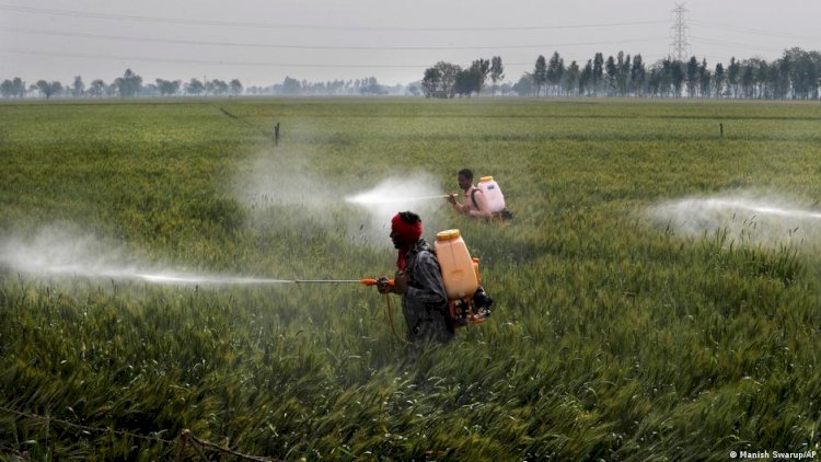 BM: Toprak kirliliği insan sağlığını tehdit eder boyutta