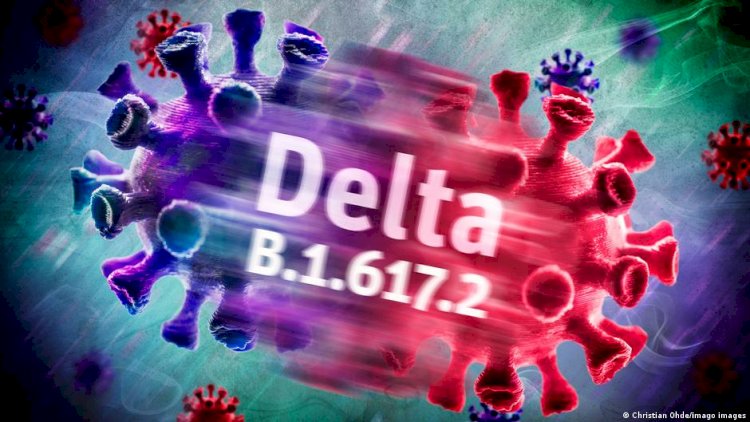 Delta varyantı hakkında ne biliniyor?