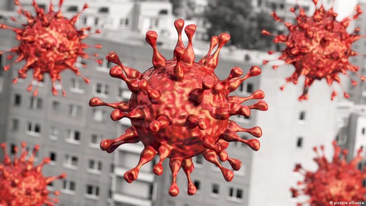 Rapor: Virüs biyolojik silah olarak geliştirilmedi