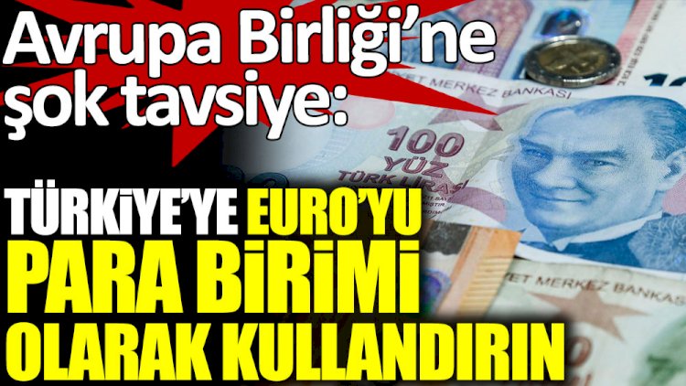 Avrupa Birliği'ne şaşırtıcı tavsiye "Türkiye'ye Euro'yu para birimi olarak kullandırın"