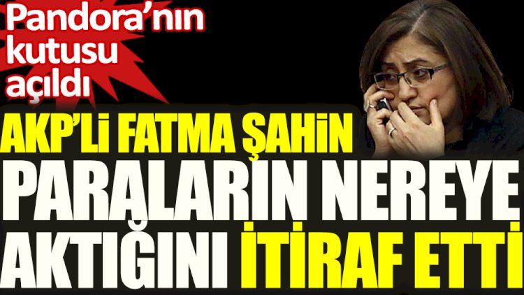 AKP'li Fatma Şahin paraların nereye aktığını tek tek anlattı: