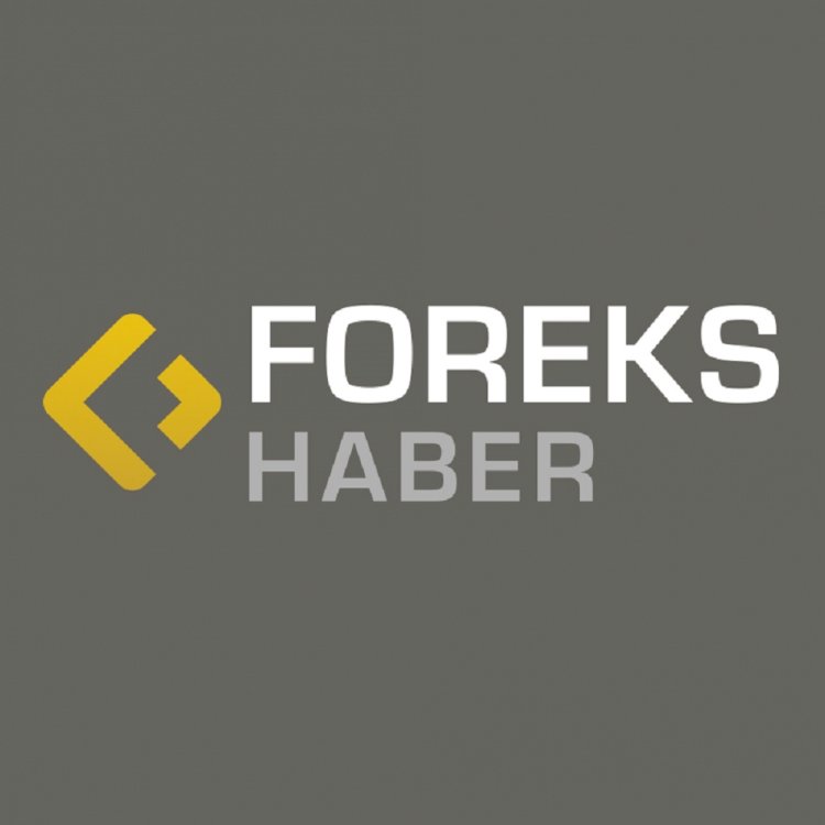 ForeksHaber ‘Fitch anketi’ sonuçlarını açıkladı