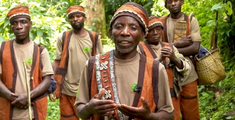 Uganda'da yaşam alanlarından sürülen yerel halkın mücadelesi: 'Ormana koşa koşa dönerim'