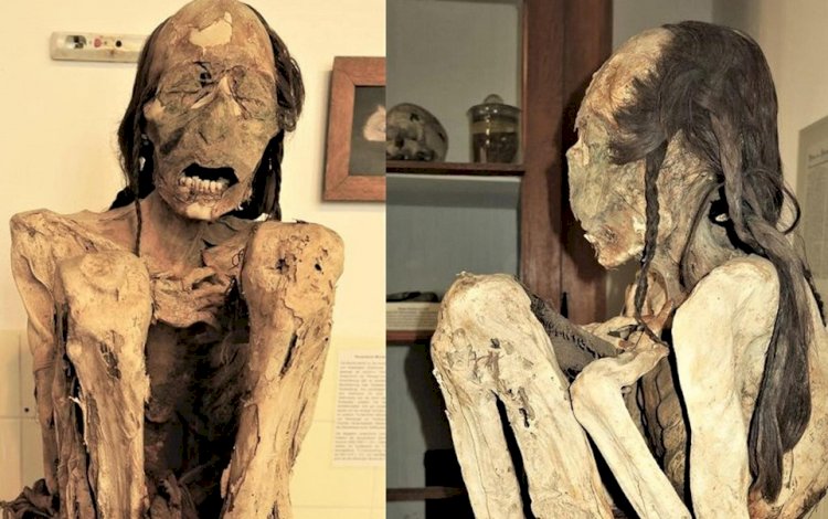 Bu Güney Amerika Mumyaları Vahşice Öldürülmüş