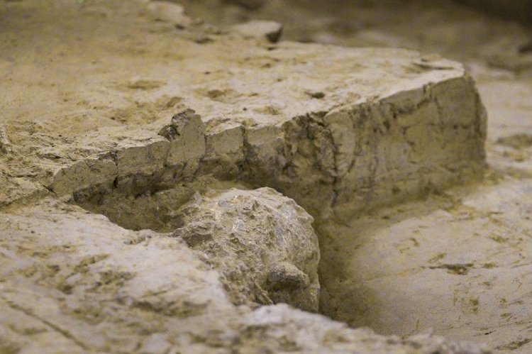 Çin’de 1 Milyon Yıllık Homo erectus Kafatası Bulundu