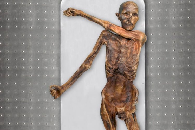 Ötzi’nin Anadolu Kökenli ve Koyu Tenli Olduğu Ortaya Çıktı
