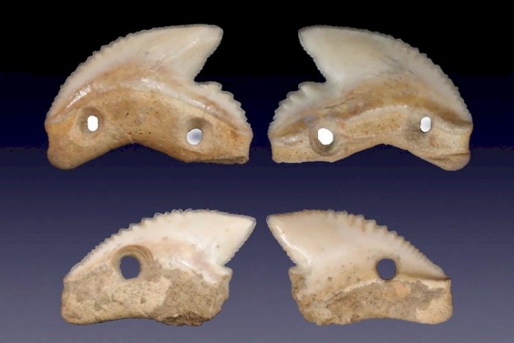 Endonezya’da 7.000 Yıllık Köpekbalığı Dişli Bıçaklar Keşfedildi