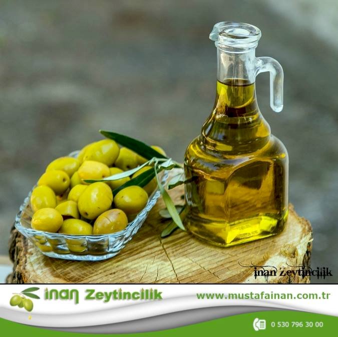 Zeytin ve organik sektörü İzmir’de buluşuyor