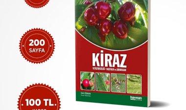 KİRAZ YETİŞTİRİCİLİĞİ HASTALIK ve ZARARLILAR
