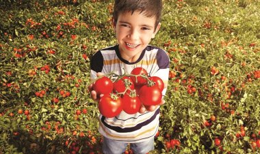 Unilever’den Korona sonrası dönemde sosyal eşitsizlikler ve iklim için birlikte hareket etme çağrısı