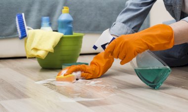 Habitat Coronavirüs Araştırmasını Yayınladı