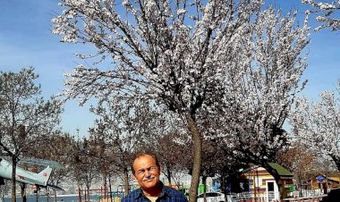 "AYIPLARI ÖRTMEDE GECE GİBİ OL!.."