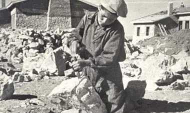 “Burada hiçbir balık uçmaya, hiçbir kuş yüzmeye zorlanmaz.”