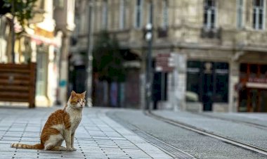Bu hafta sonu da sokağa çıkma yasağı uygulanacak