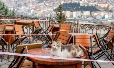 Son dakika… İçişleri’nden kafe ve restoranlarla ilgili genelge!