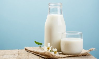 ​Kemik Sağlığı ve Güçlü Bir Bağışıklık için Süt İçmeyi İhmal Etmeyin!