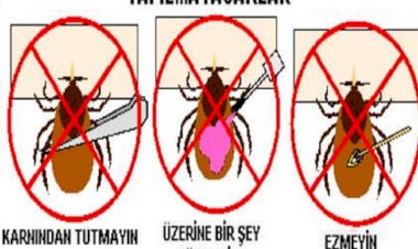 Aile Hekimleri Kenelere Karşı Uyarıyor...