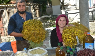 KANTARON YAĞININ FAYDALARI NELERDİR?