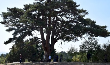 Osmanlı Göç Yolu Turizme Kazandırılıyor