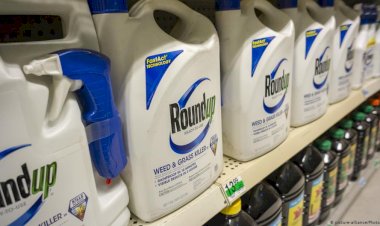 RoundUp tartışması: Türkiye’de glifosat kullanımı nedir?