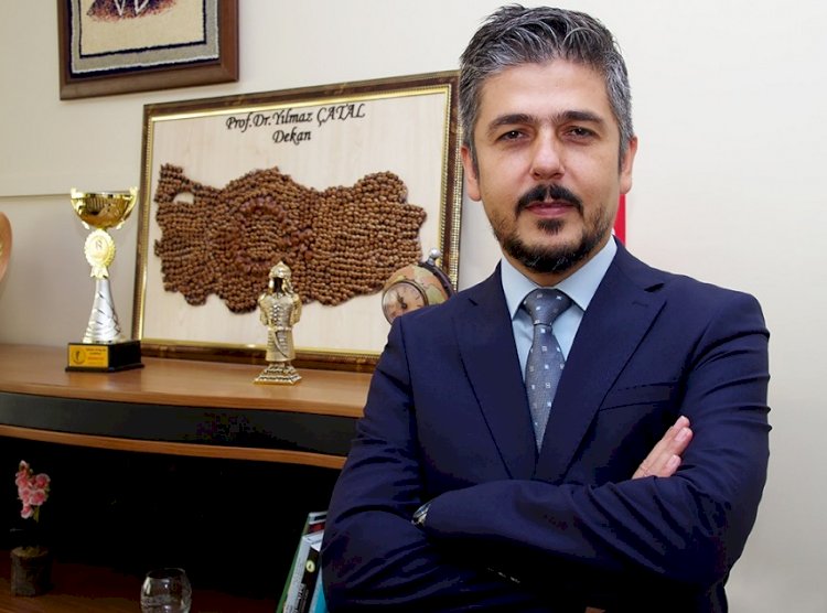 Havada uçuşan kavak pamukçukları alerjen midir?