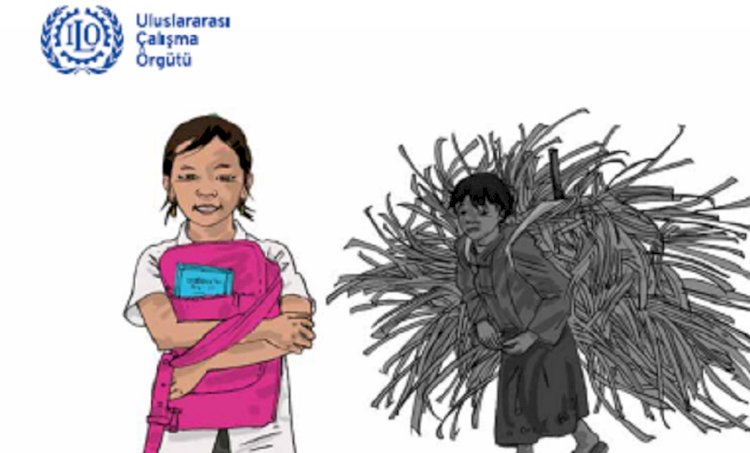 ILO ve UNICEF: COVID-19 nedeniyle milyonlarca çocuk, çocuk işçiliğine sürüklenebilir