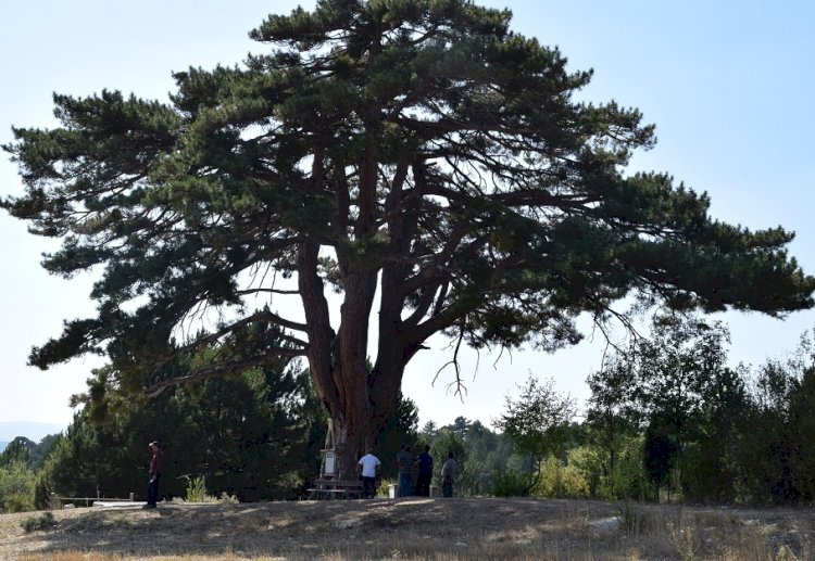 Osmanlı Göç Yolu Turizme Kazandırılıyor