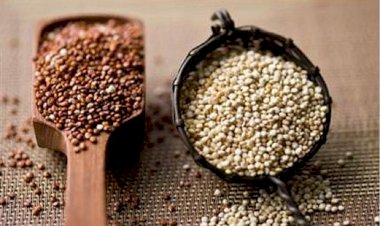 Bulgur kinoadan daha sağlıklı bir besin