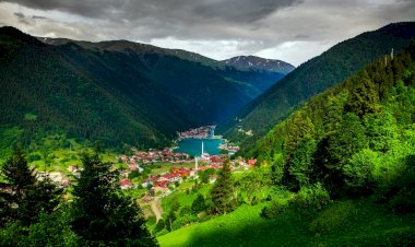 HER BÜTÇEYE UYGUN PÜFÜR PÜFÜR KARADENİZ