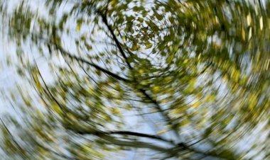 Vertigo nedir? Vertigo belirtileri nelerdir, nasıl tedavi edilir?