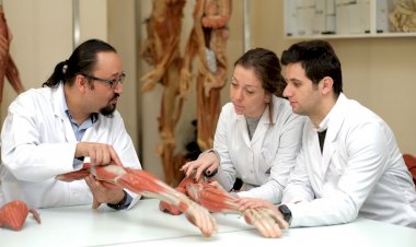 ALES’in En İyileri Yeditepe Üniversitesi’nde
