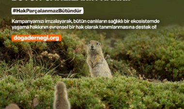 Doğa Severler Sağlıklı Bir Gezegende Yaşama Hakkı İçin Bir Arada!