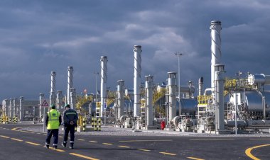 Türkiye'nin dünya ikinciliğini bu projeler tescilledi