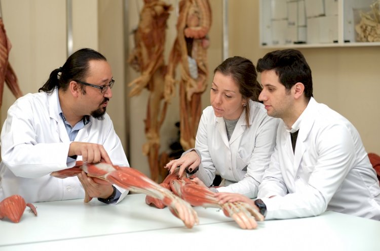 ALES’in En İyileri Yeditepe Üniversitesi’nde