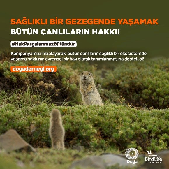 Doğa Severler Sağlıklı Bir Gezegende Yaşama Hakkı İçin Bir Arada!