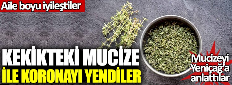 : Kekikteki mucize ile koronayı yendiler: Aile boyu iyileştiler!