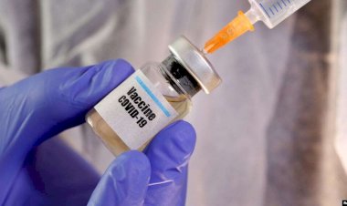 AstraZeneca Corona Virüsü Aşı Çalışmasını Durdurdu