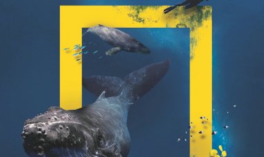 National Geographic Now, beIN CONNECT’te!