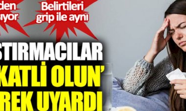 Araştırmacılar ‘dikkatli olun’ diyerek uyardı. Kediden insana bulaşıyor. Belirtileri grip ile aynı