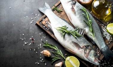 Omega-3 deposu balığın tam zamanı