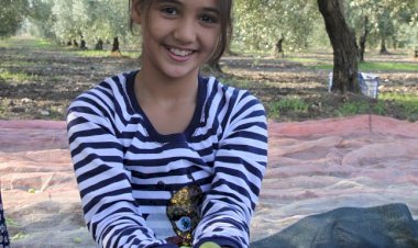 Sofralık zeytin ihracatında rekor